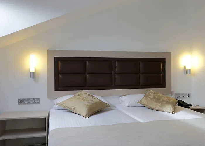 Santa Rosa, Blue فندق